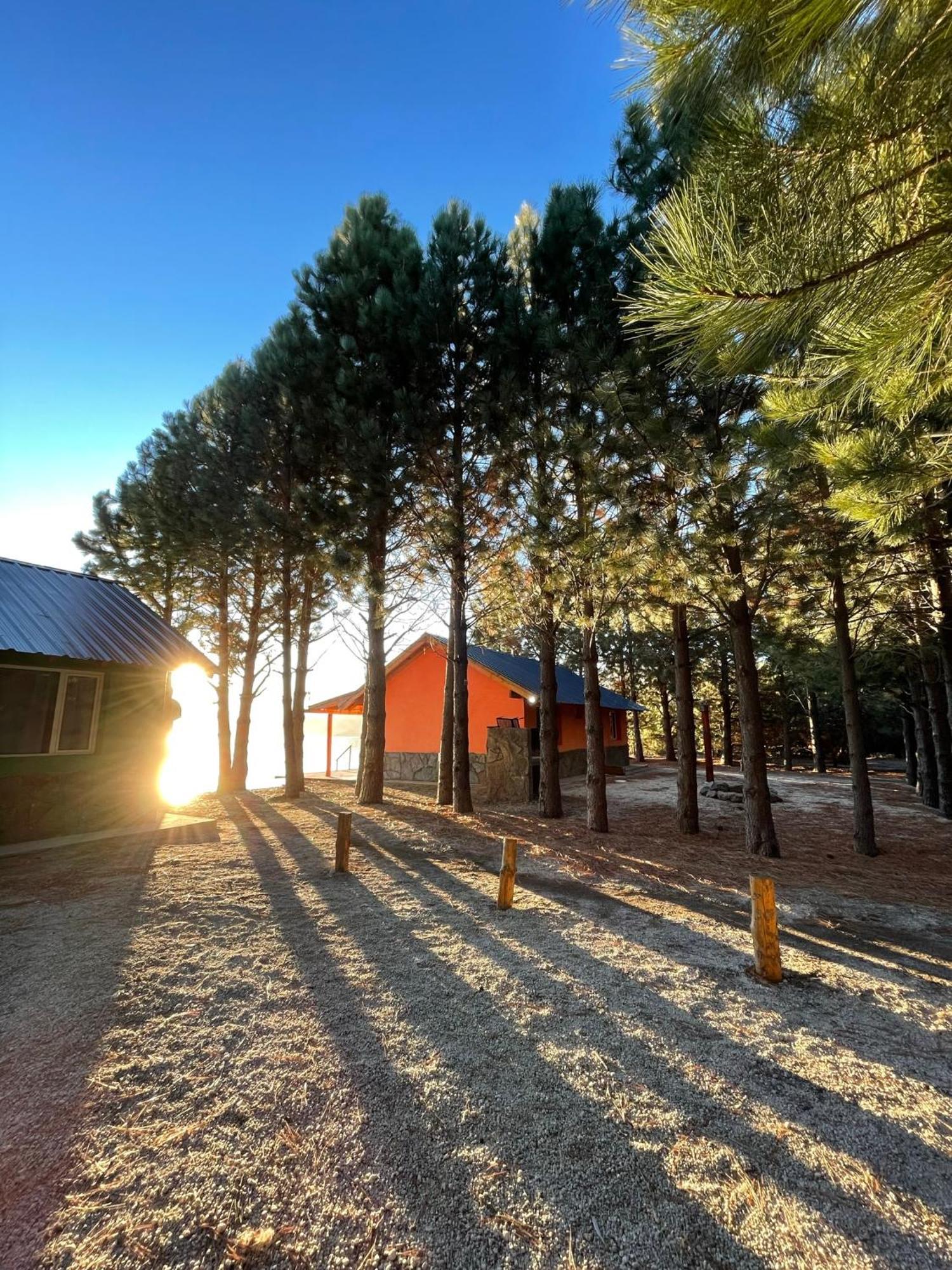 Complejo Don Cirilo Villa Pehuenia